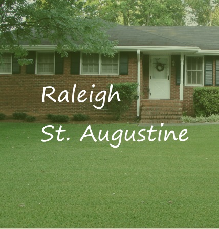 Raleigh St. Augustine Grass
