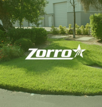 Zorro Grass